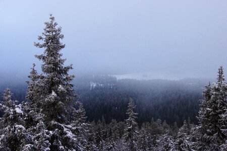 Landscape nature lapland