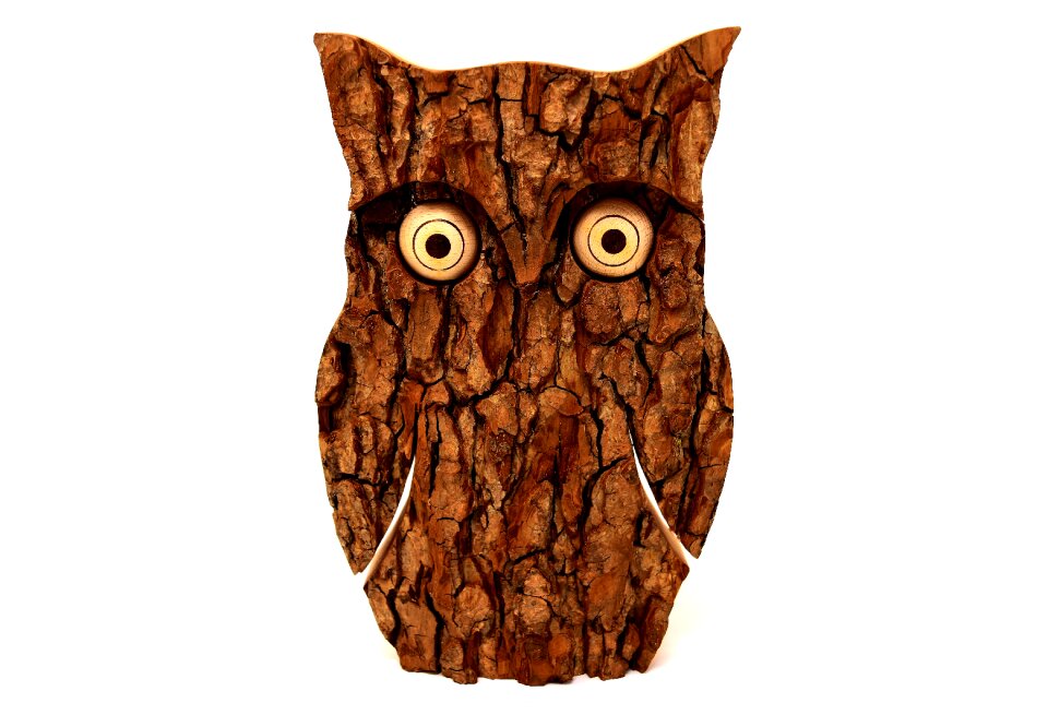 Eagle owl funny forest