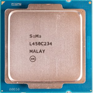 Intel@unknown_soma_cpu@SoMa_L450C234_Malay___DSCx1@macro photo