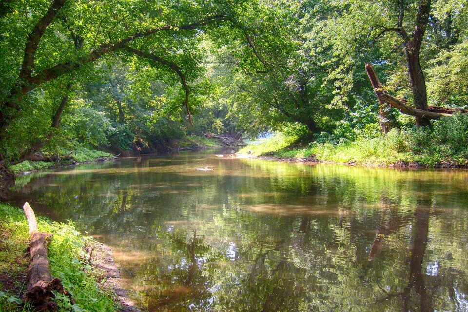 Landscape nature summer