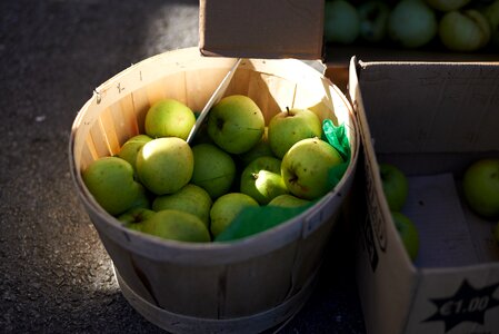 Basket farm healthy