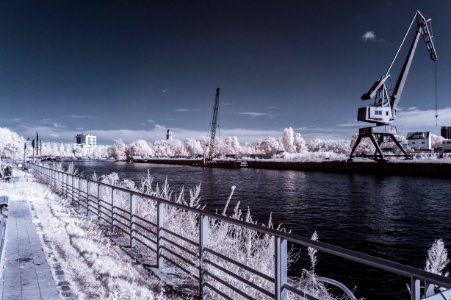 DSC02781_ir720