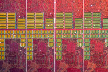 AMD@28nm@GCN_3th_gen@Fiji@Radeon_R9_Nano@SPMRC_REA0356A-15… photo