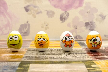 Egg colorful color