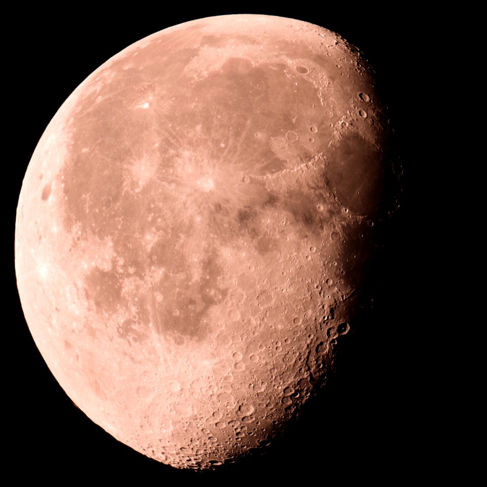 DSC03892_strawberrymoon_few_days_later