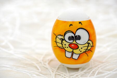 Egg colorful color
