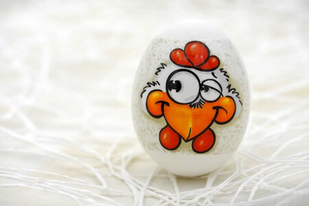 Egg colorful color