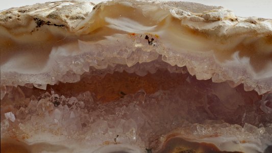 Makro_DSC00735_full