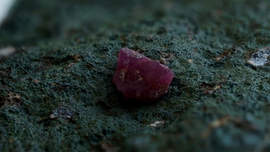 Makro_DSC01780