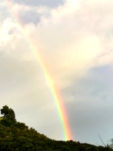 Rainbow over the Ranch photo