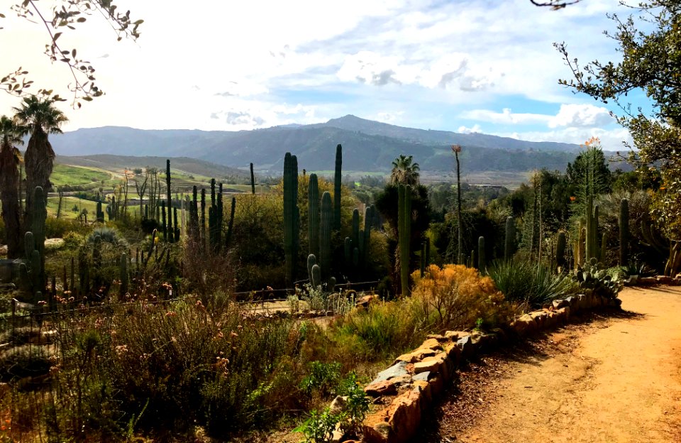 Nativescape Garden