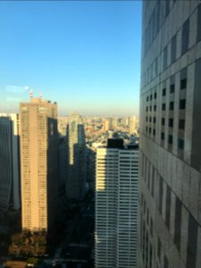 Tokyo View