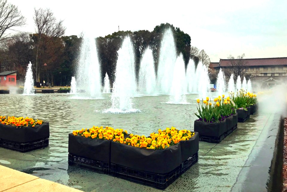 Tokyo National Museum