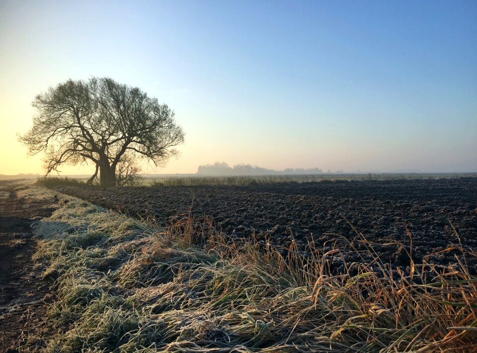 Outdoor winter alone photo