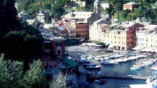 Portofino Harbor Video photo