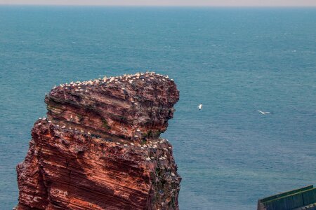 Rock north sea sea island photo