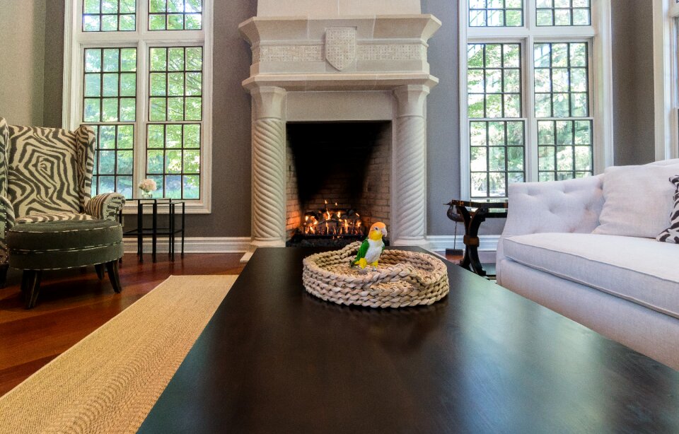 Furniture house luxury