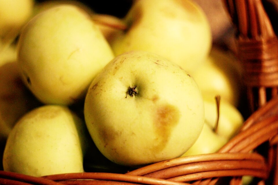Fruits food healthy