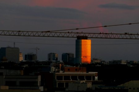 P2650881