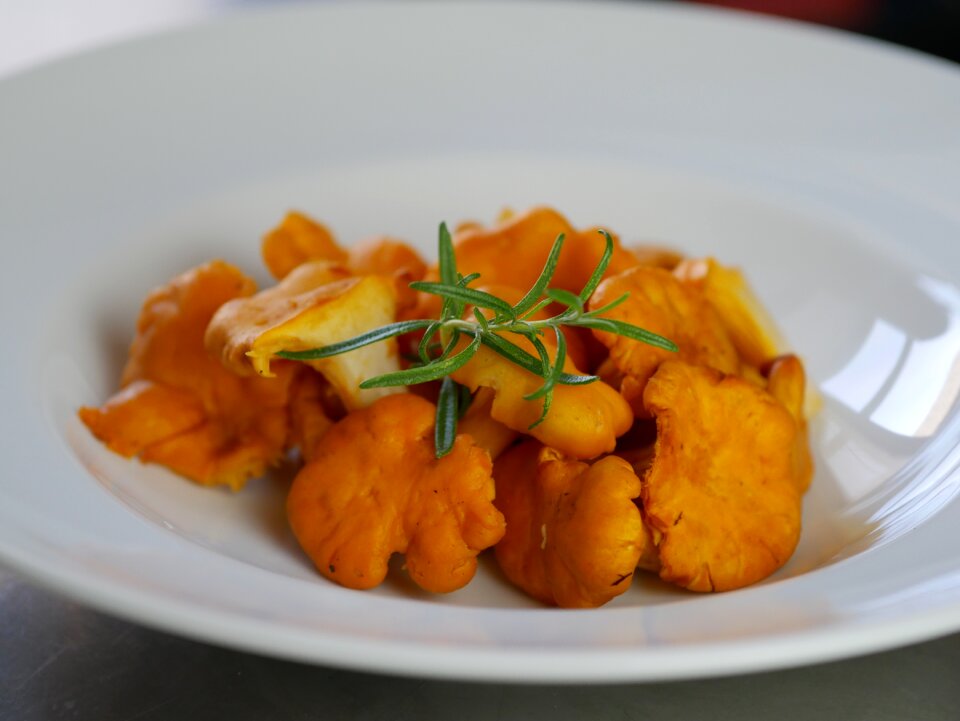 Plate mushrooms edible