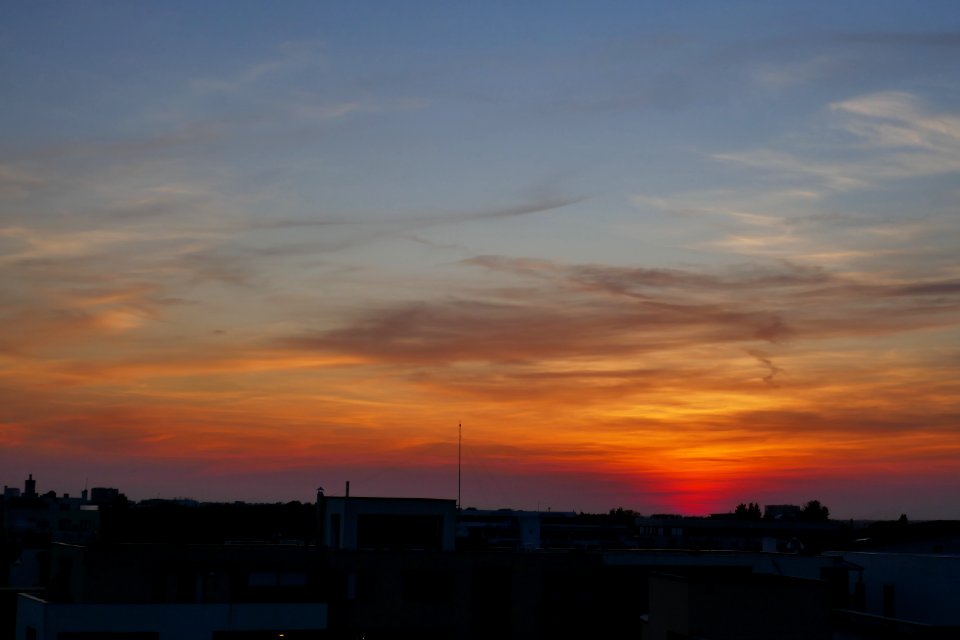 P2590254