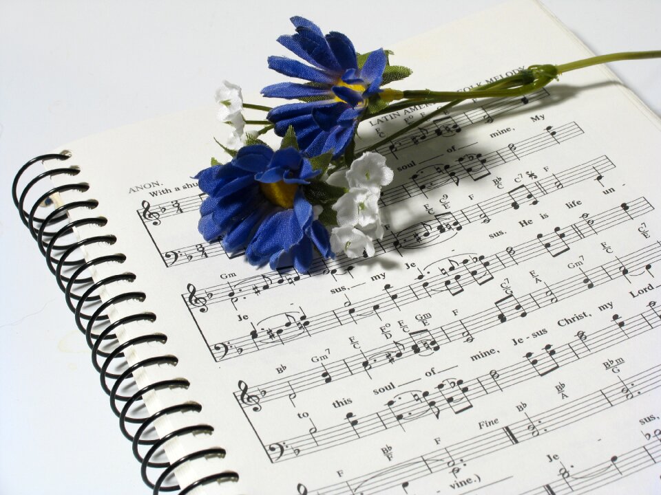 Music script design