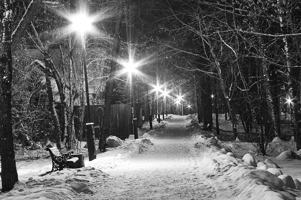 Onari black and white snow