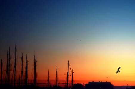 Harbor day nature