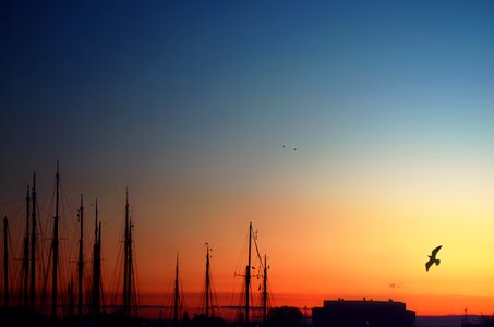 Harbor day nature photo