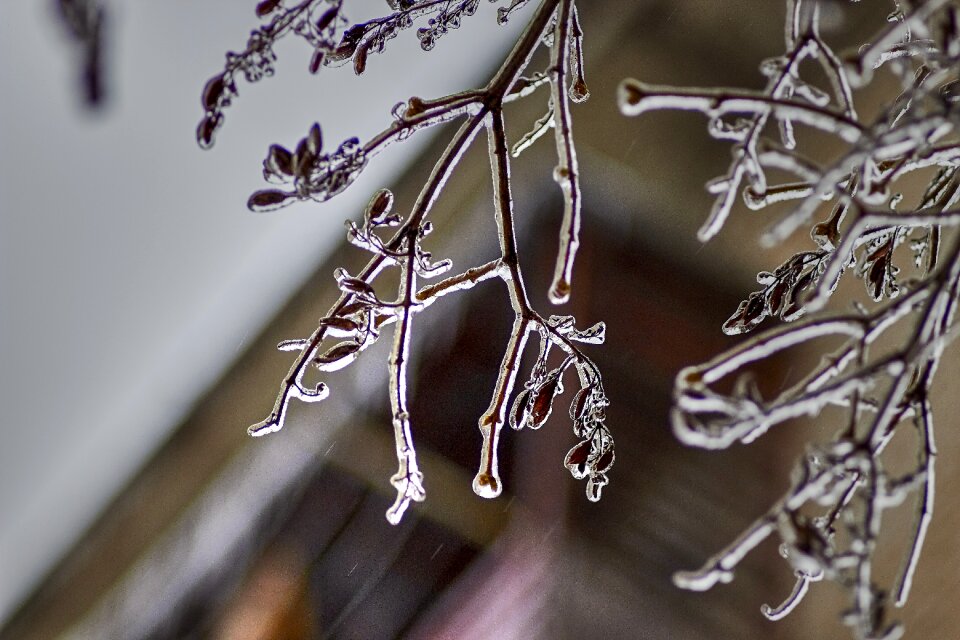 Freezing rain winter frost