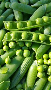Vegetables beans green stuff photo