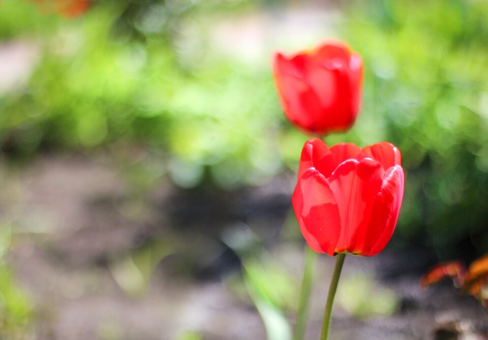 Background picture background images
