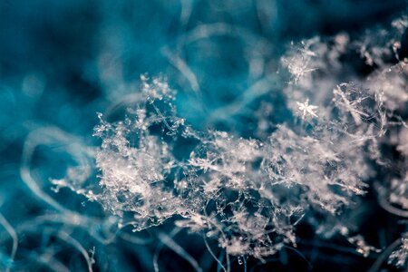 Crystal ice frost photo