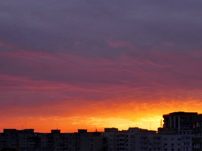 P2450634