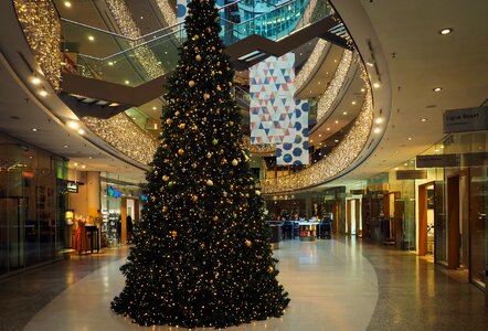Light building christmas