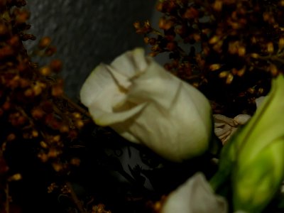 P2420799