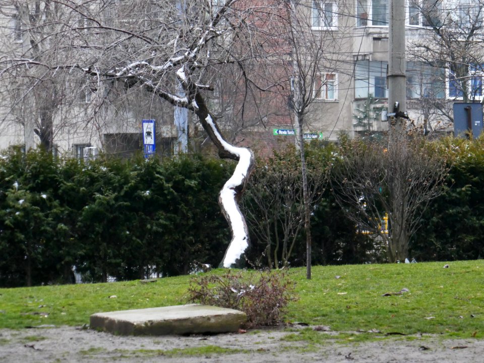 P2420731