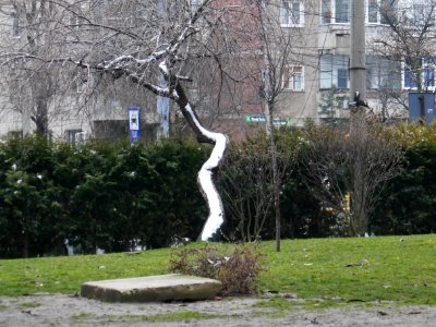 P2420731