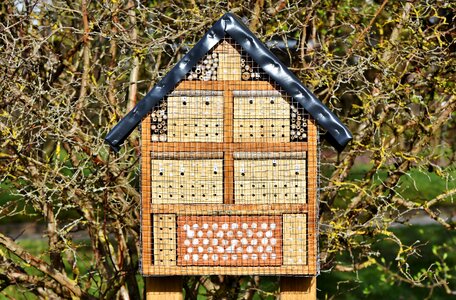 Insect protection measures insect hibernation help