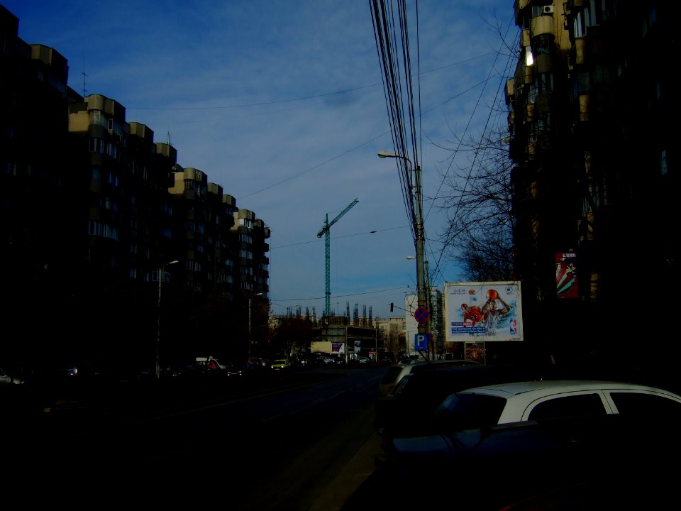 Calea-Vitan2011_0213_094433