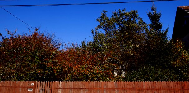 fall-colors-toamna2017_1024_142135