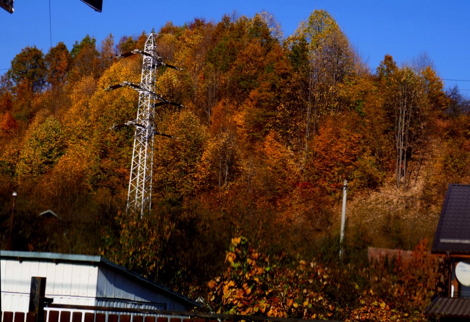 fall-colors-toamna2017_1024_142319