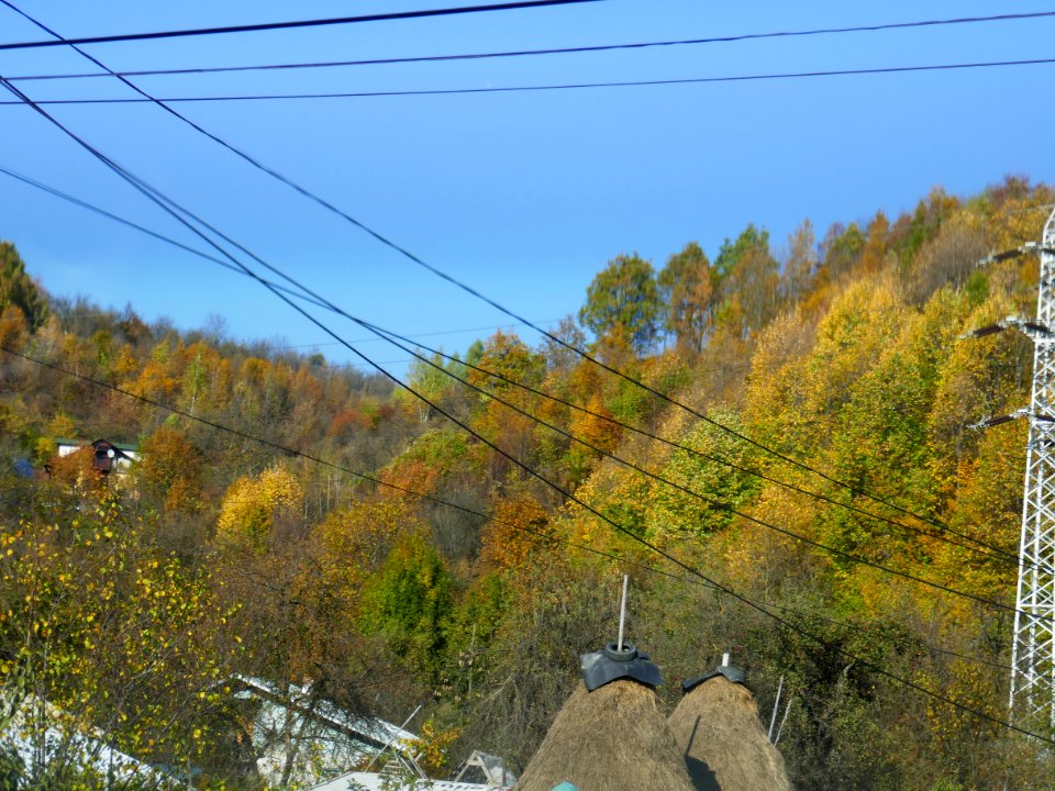 fall-colors-toamna2017_1024_142843