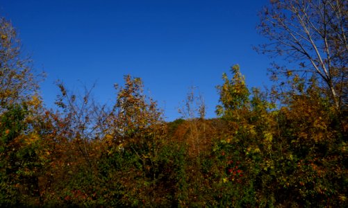 fall-colors-toamna2017_1024_142352
