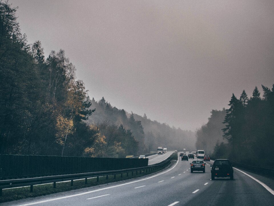 Driving trees grey