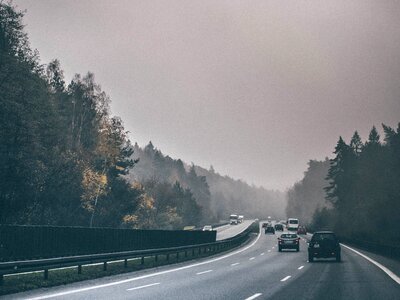 Driving trees grey