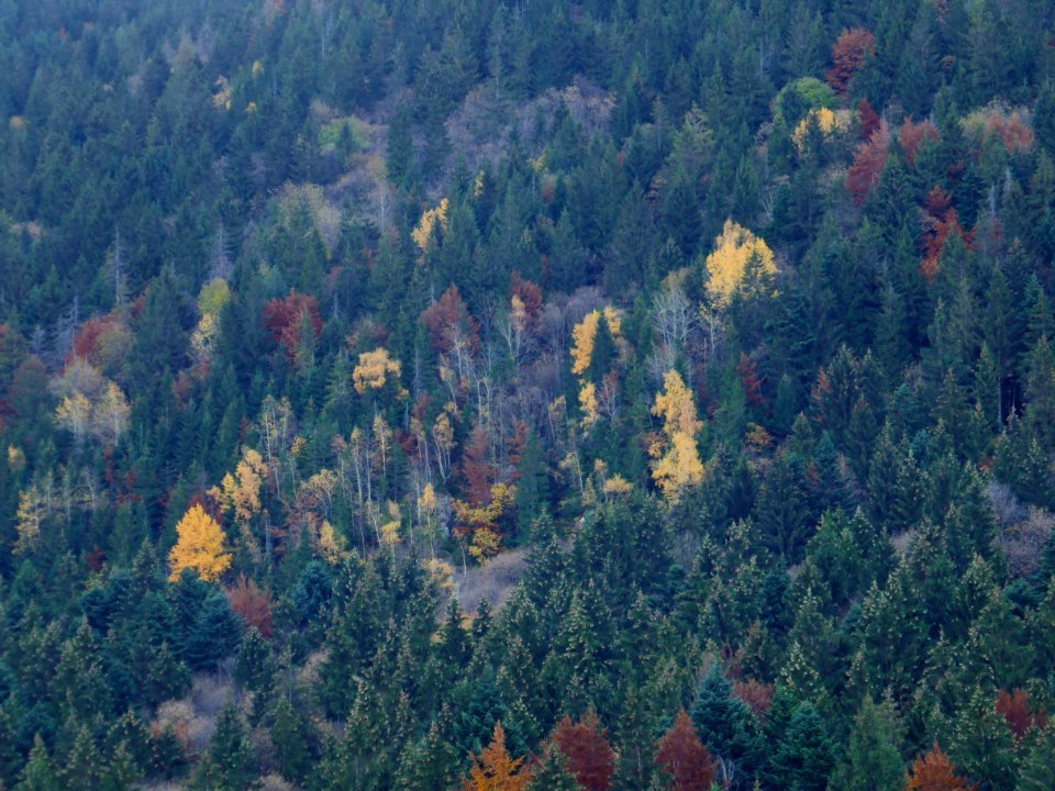 fall-colors-toamna2017_1026_195332
