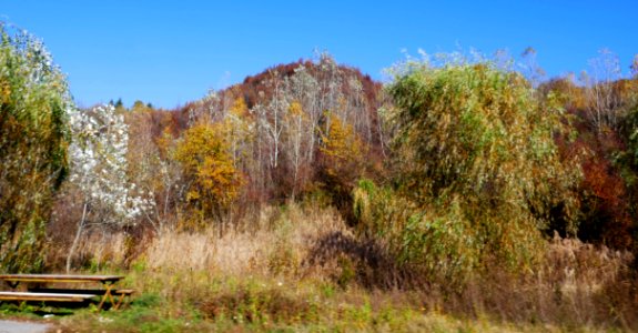 fall-colors-toamna2017_1023_155319