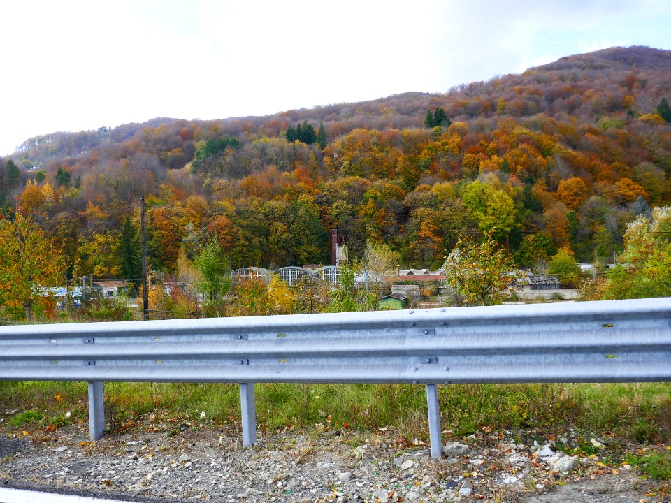 fall-colors-toamna2017_1022_124241