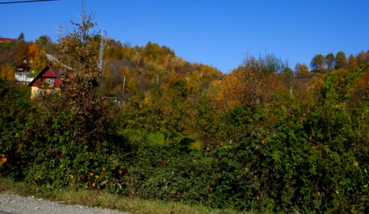 fall-colors-toamna2017_1024_143008